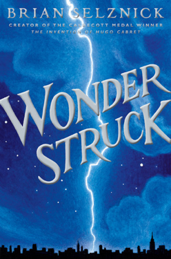 Read more about the article Wonderstruck by Brian Selznick
