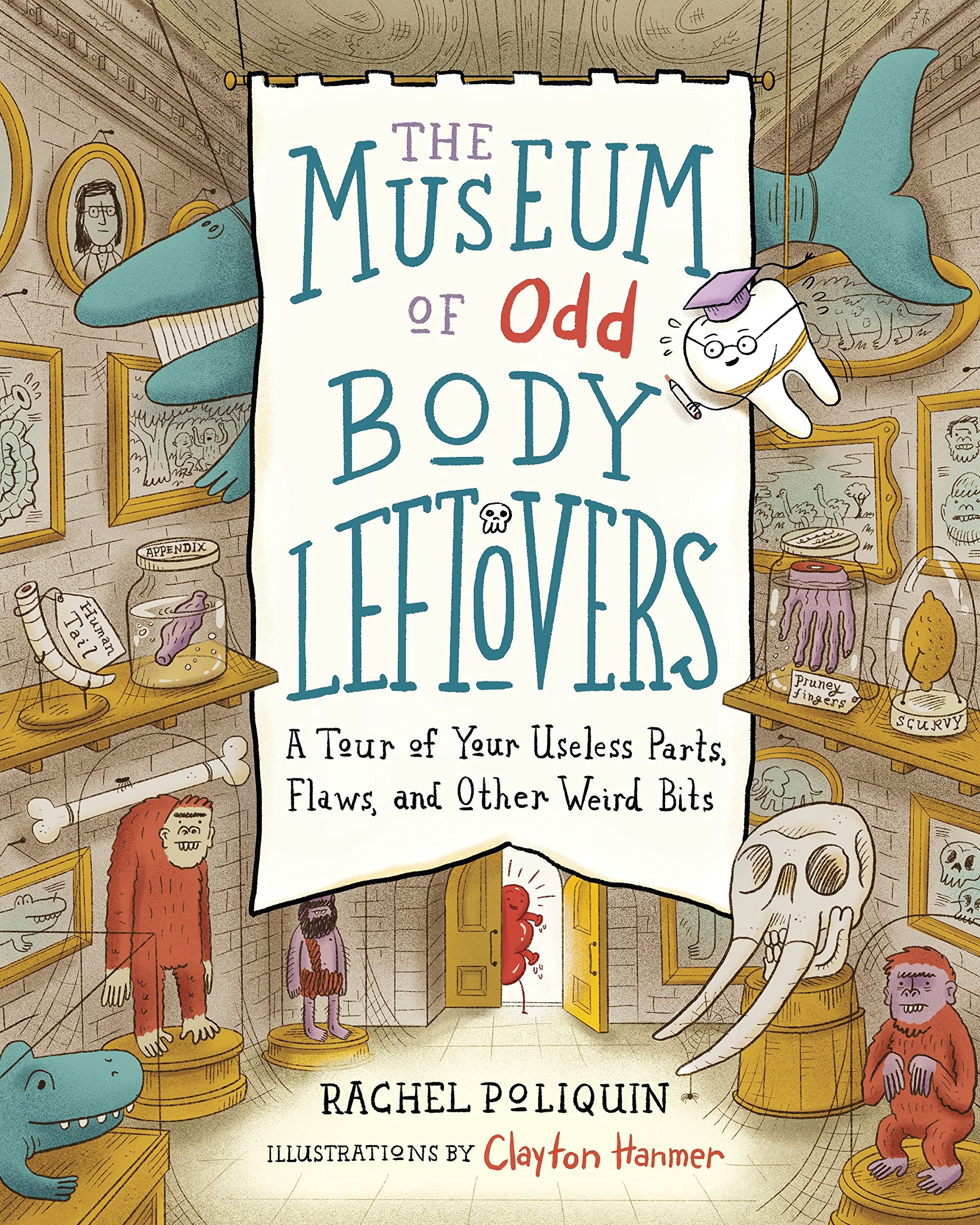 The Museum of Odd Body Leftovers: A Tour of Your Useless Parts, Flaws, and Other Weird Bits by Rachel Poliquin